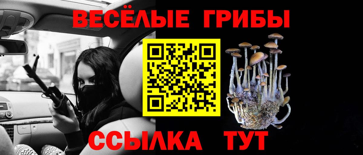 Галлюциногенные грибы Cubensis Самара