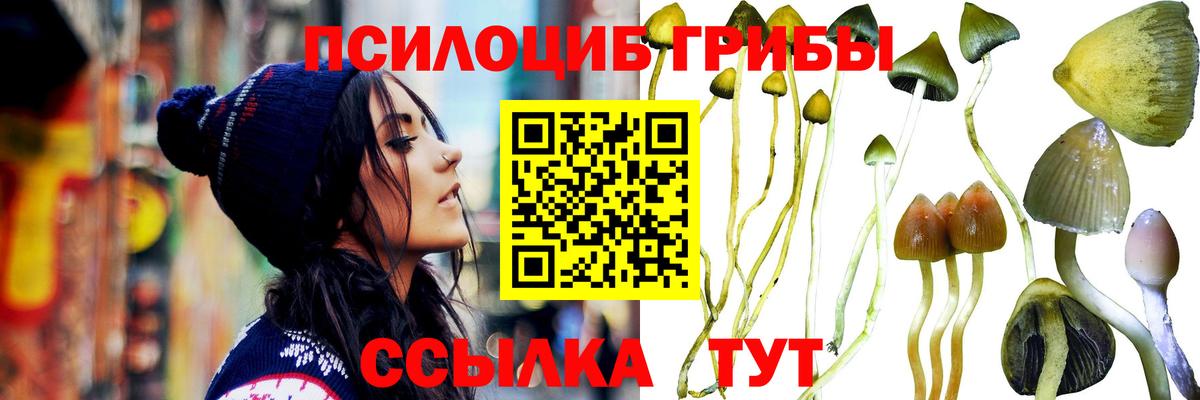Самара  Галлюциногенные грибы MAGIC MUSHROOMS  Вход с VPN 
